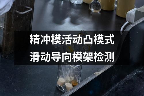 精冲模活动凸模式滑动导向模架检测