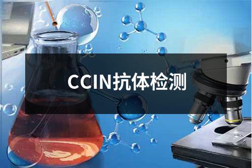 CCIN抗体检测