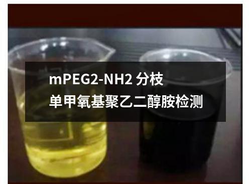 mPEG2-NH2 分枝单甲氧基聚乙二醇胺检测