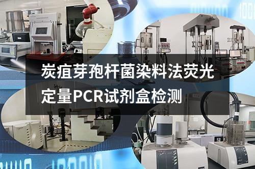 炭疽芽孢杆菌染料法荧光定量PCR试剂盒检测