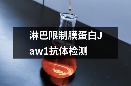 淋巴限制膜蛋白Jaw1抗体检测