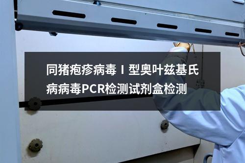 同猪疱疹病毒Ⅰ型奥叶兹基氏病病毒PCR检测试剂盒检测