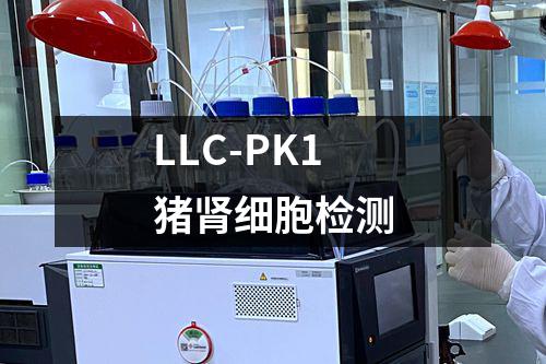 LLC-PK1猪肾细胞检测