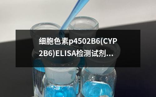 细胞色素p4502B6(CYP2B6)ELISA检测试剂盒检测