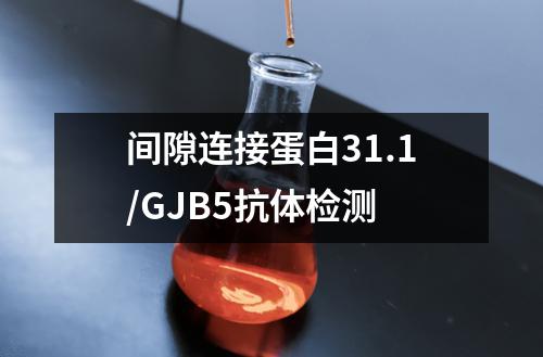 间隙连接蛋白31.1/GJB5抗体检测