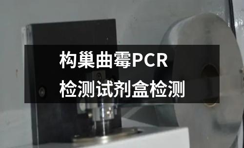 构巢曲霉PCR检测试剂盒检测