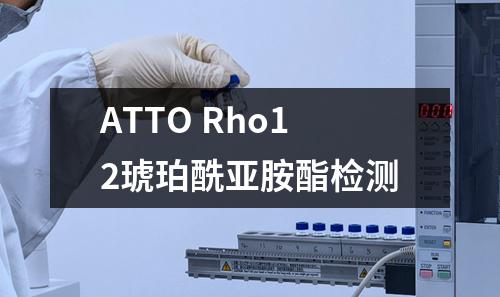 ATTO Rho12琥珀酰亚胺酯检测