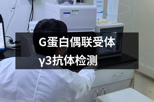 G蛋白偶联受体γ3抗体检测