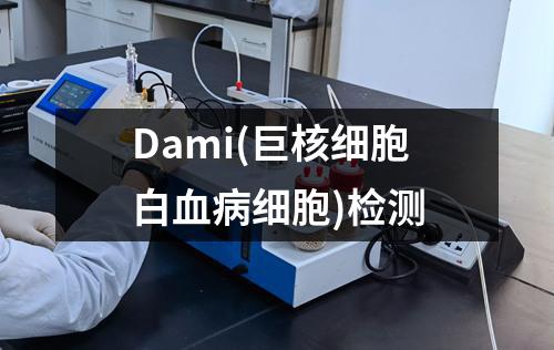 Dami(巨核细胞白血病细胞)检测