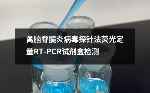 禽脑脊髓炎病毒探针法荧光定量RT-PCR试剂盒检测