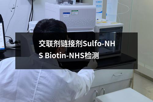 交联剂链接剂Sulfo-NHS Biotin-NHS检测