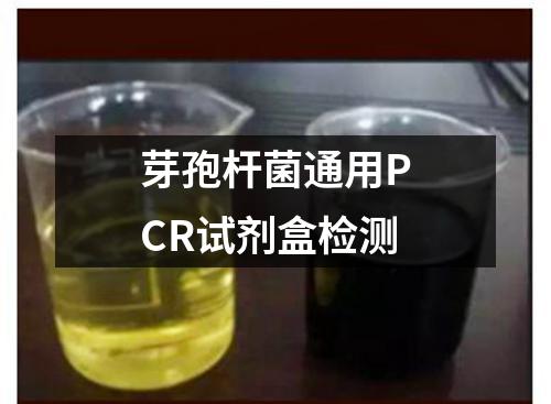 芽孢杆菌通用PCR试剂盒检测