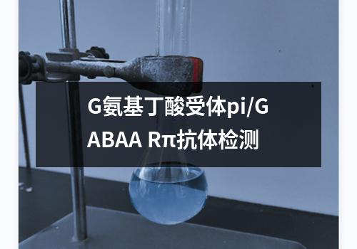 G氨基丁酸受体pi/GABAA Rπ抗体检测