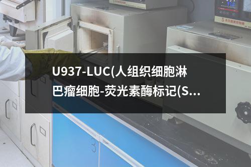 U937-LUC(人组织细胞淋巴瘤细胞-荧光素酶标记(STR鉴定正确))检测