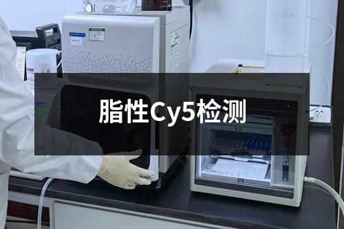 脂性Cy5检测