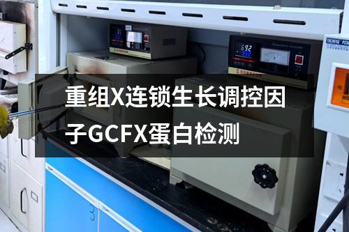 重组X连锁生长调控因子GCFX蛋白检测