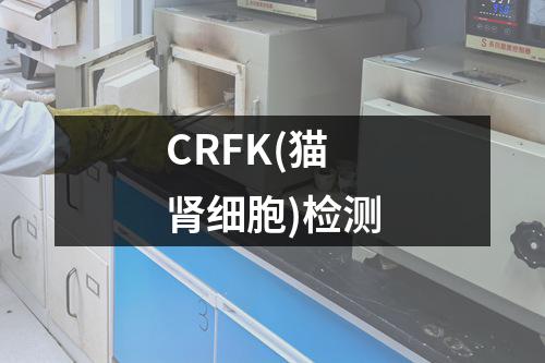 CRFK(猫肾细胞)检测