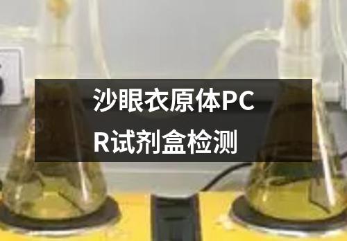 沙眼衣原体PCR试剂盒检测