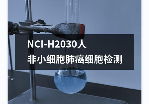 NCI-H2030人非小细胞肺癌细胞检测