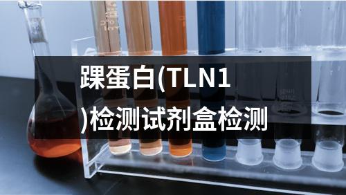 踝蛋白(TLN1)检测试剂盒检测