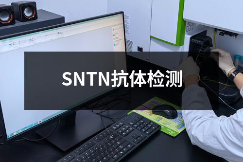 SNTN抗体检测