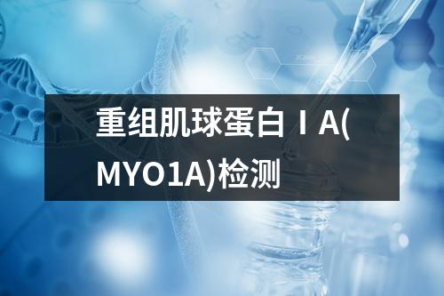 重组肌球蛋白ⅠA(MYO1A)检测