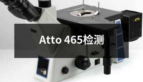 Atto 465检测