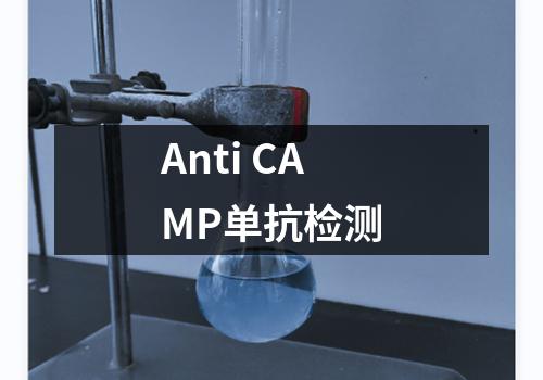 Anti CAMP单抗检测