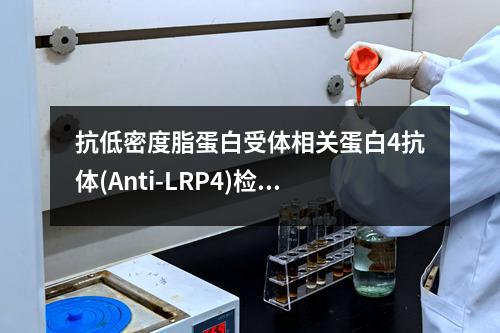 抗低密度脂蛋白受体相关蛋白4抗体(Anti-LRP4)检测试剂盒检测