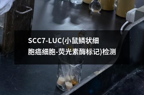 SCC7-LUC(小鼠鳞状细胞癌细胞-荧光素酶标记)检测