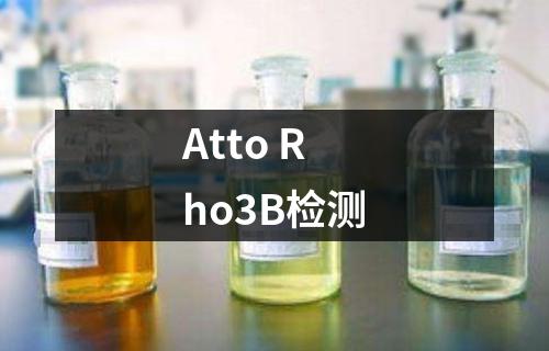 Atto Rho3B检测