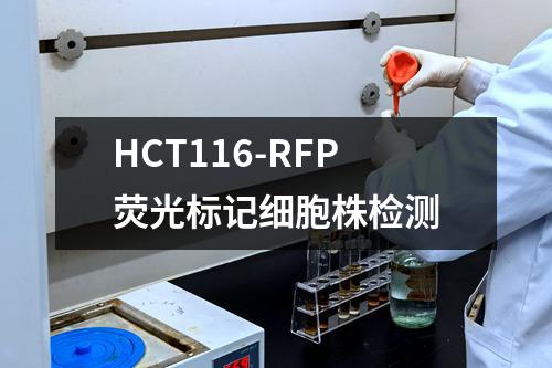 HCT116-RFP荧光标记细胞株检测