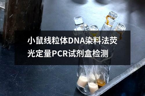 小鼠线粒体DNA染料法荧光定量PCR试剂盒检测