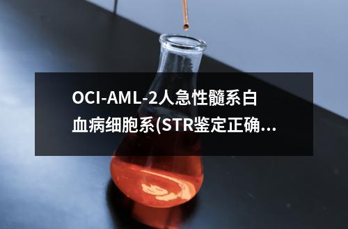 OCI-AML-2人急性髓系白血病细胞系(STR鉴定正确)检测