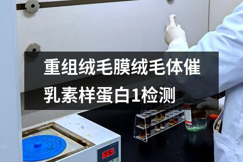 重组绒毛膜绒毛体催乳素样蛋白1检测