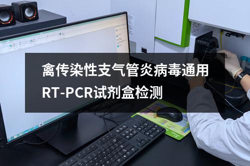 禽传染性支气管炎病毒通用RT-PCR试剂盒检测