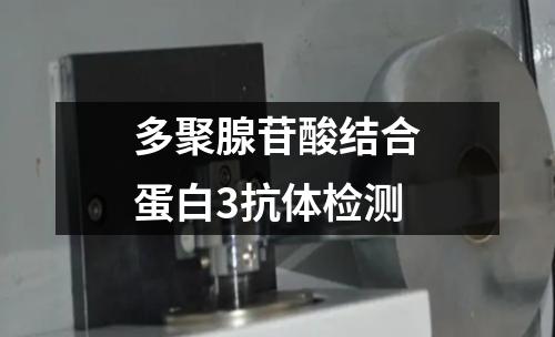 多聚腺苷酸结合蛋白3抗体检测