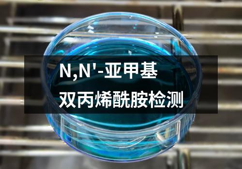 N,N'-亚甲基双丙烯酰胺检测