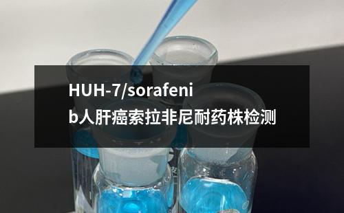 HUH-7/sorafenib人肝癌索拉非尼耐药株检测