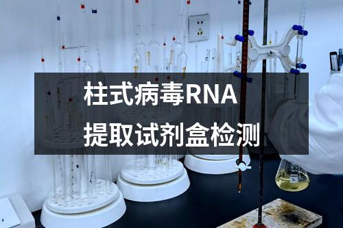 柱式病毒RNA提取试剂盒检测