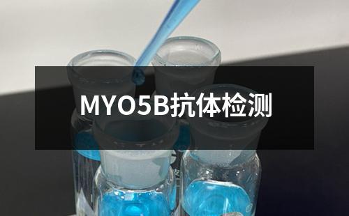 MYO5B抗体检测