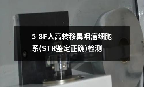 5-8F人高转移鼻咽癌细胞系(STR鉴定正确)检测