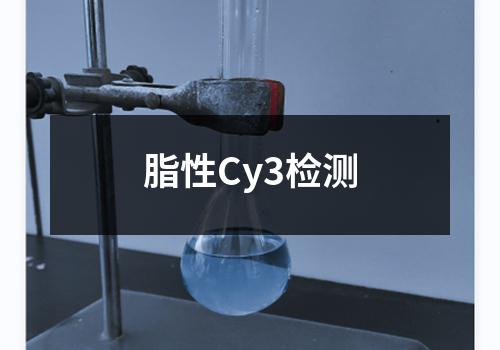 脂性Cy3检测