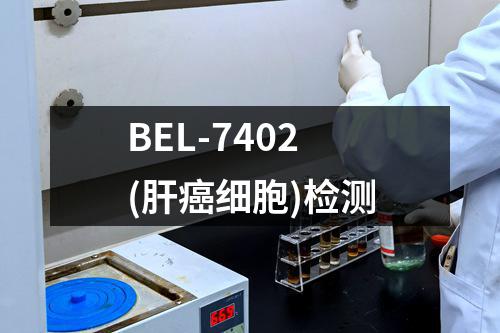 BEL-7402(肝癌细胞)检测