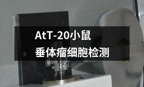 AtT-20小鼠垂体瘤细胞检测