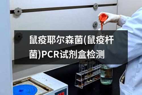 鼠疫耶尔森菌(鼠疫杆菌)PCR试剂盒检测