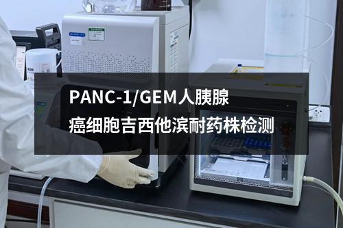 PANC-1/GEM人胰腺癌细胞吉西他滨耐药株检测