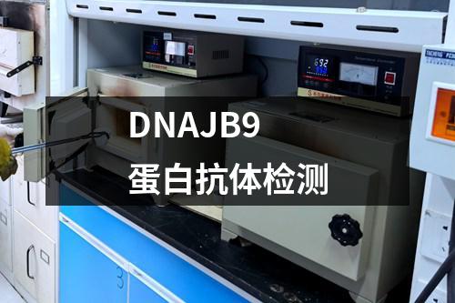 DNAJB9蛋白抗体检测