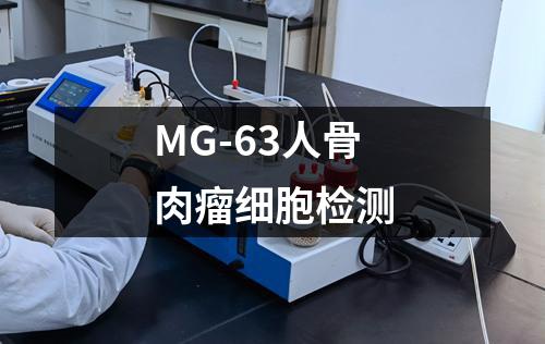 MG-63人骨肉瘤细胞检测