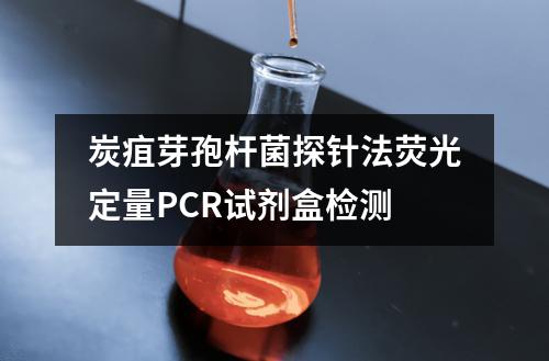 炭疽芽孢杆菌探针法荧光定量PCR试剂盒检测